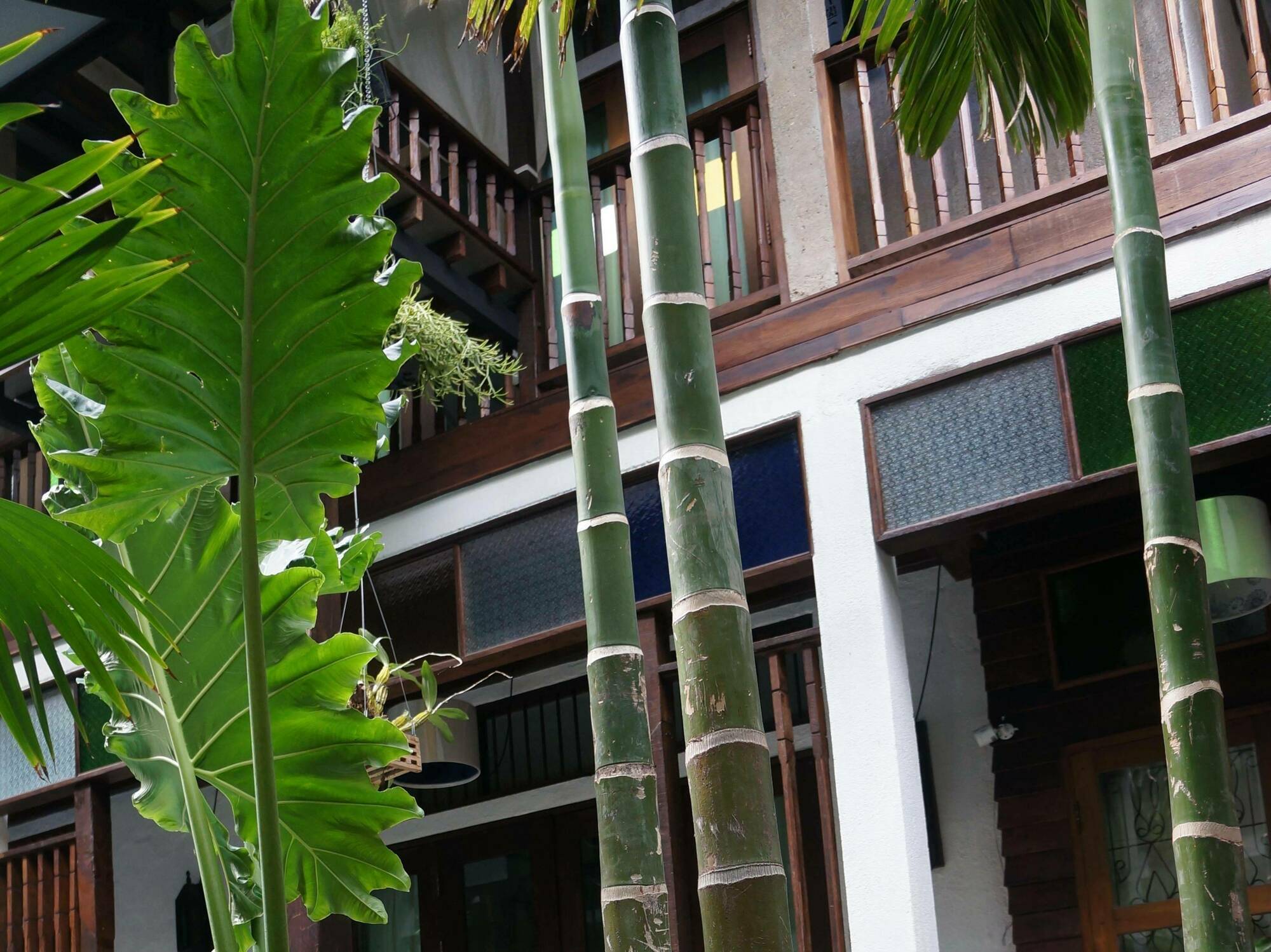 Ban Chang Tong Chiang Mai Ngoại thất bức ảnh